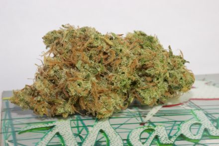 Super Silver Haze Strain Review