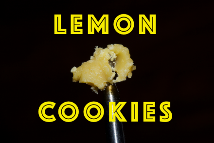 Lemon Cookies Moxie